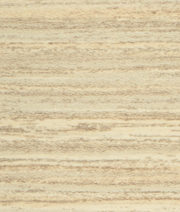 Pale wood porcelian gres Door Finish