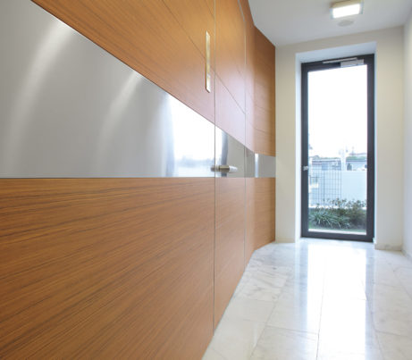 Architectural Wall System for contemporary home