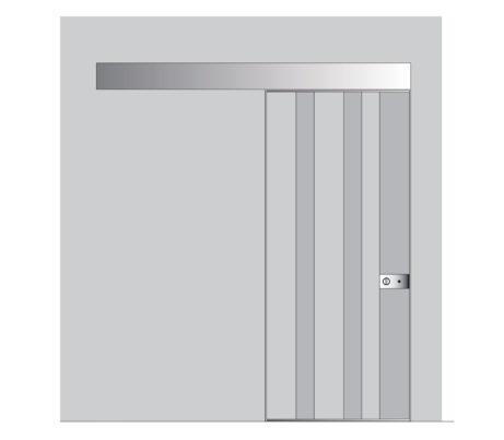 Vela Sliding Security Door