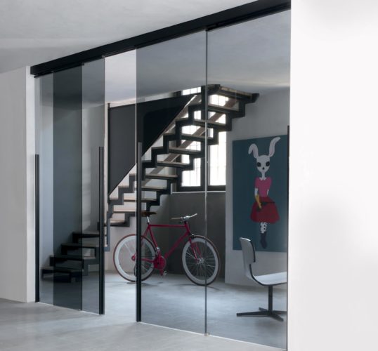 Sleek Partition Door system