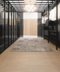 Solo: Closet & Partition System