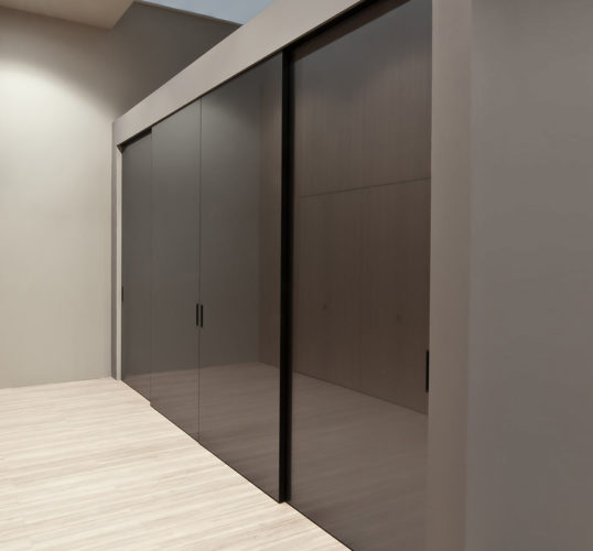 Nim: Partition Doors